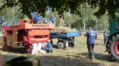 Dreschfest 2014 auf dem Hof der Museumsscheune Rostocker Wulfshagen