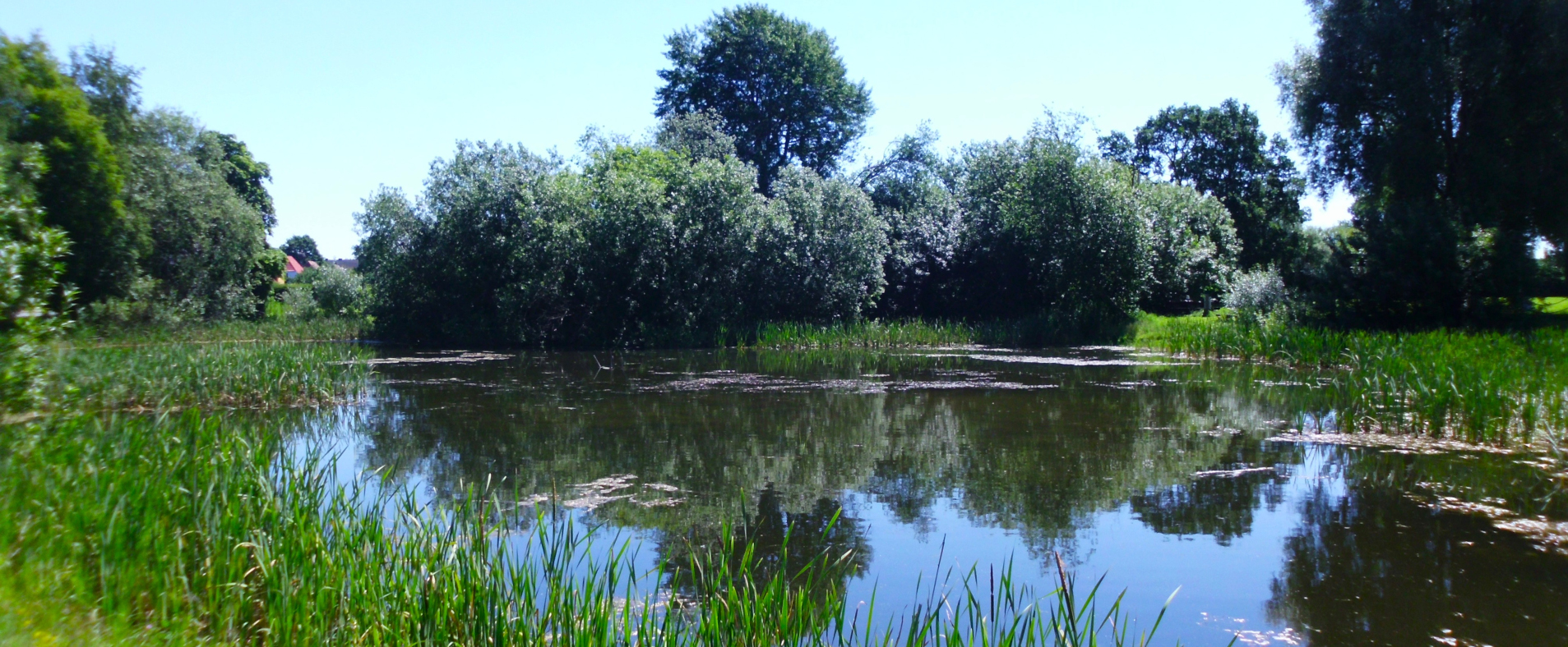 Vogelparkregion Vogelparkregion