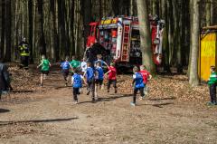 Stadtwaldlauf